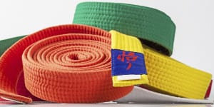 Martial art belt